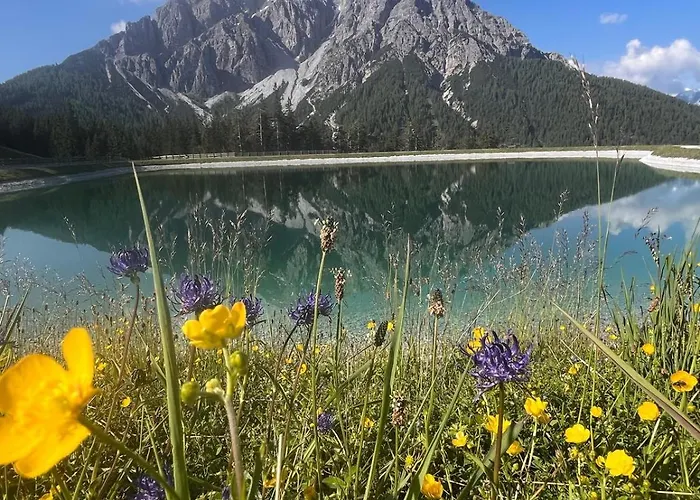 Stubainest Schmidt *