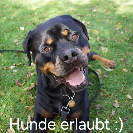 Stubainest Schmidt Fulpmes