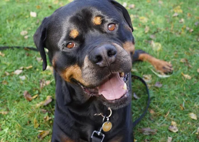 Stubainest Schmidt Fulpmes