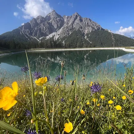 Stubainest Schmidt *